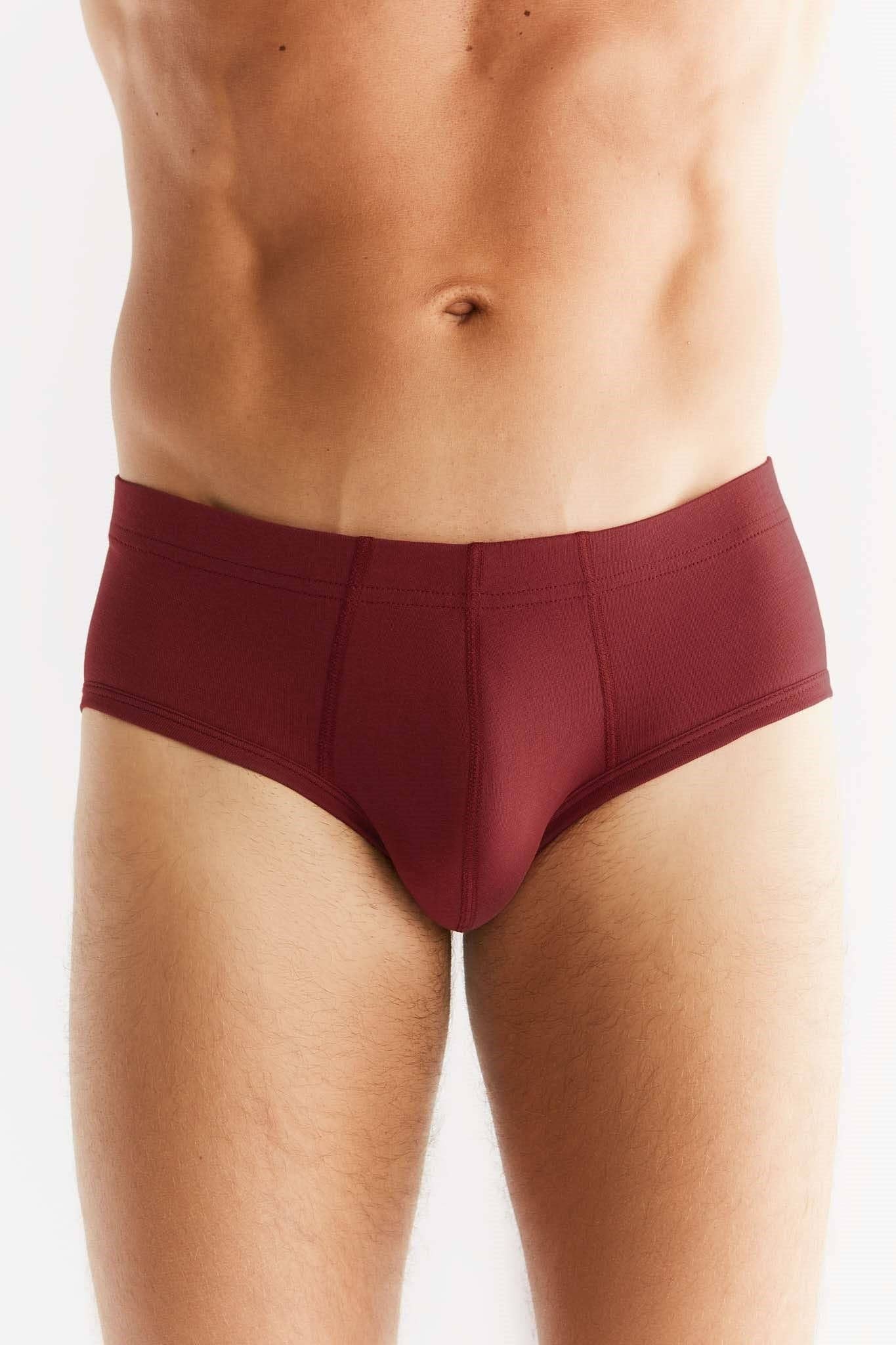 Organic Cotton Briefs: Mens