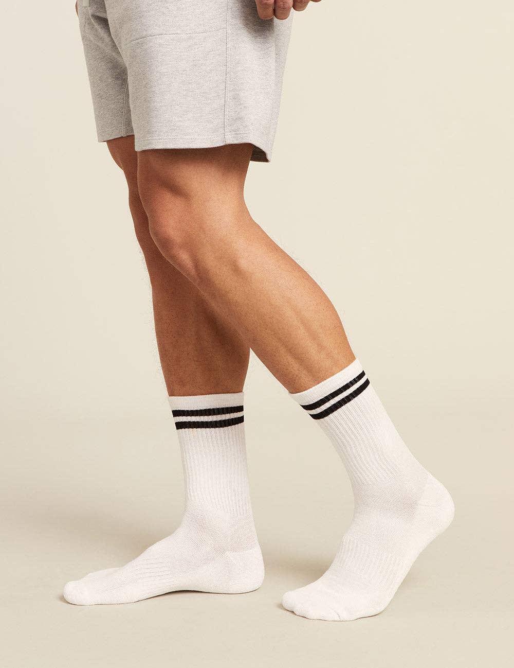 Mens Striped Cushioned Crew Socks