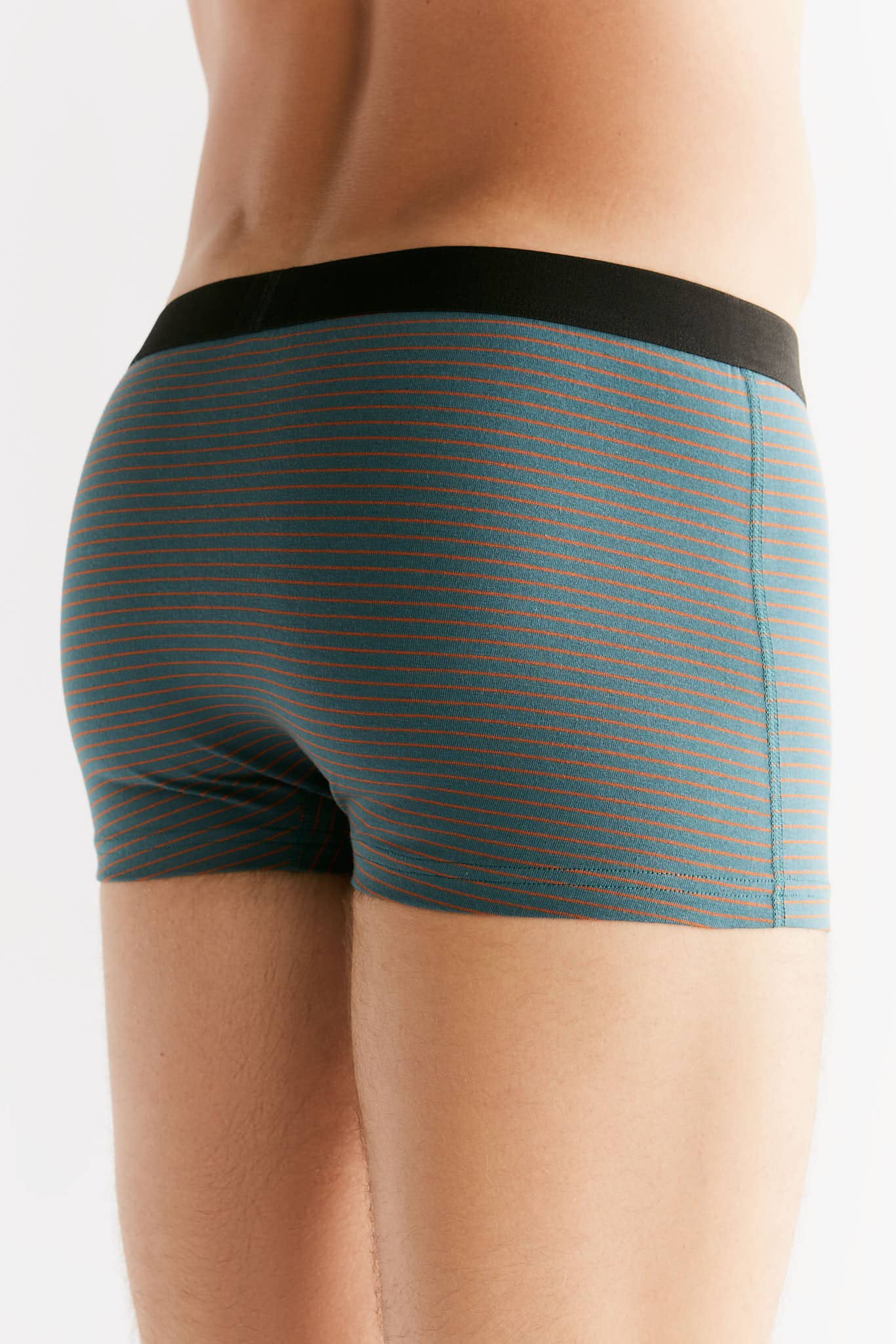 Organic Cotton Trunks: Mens